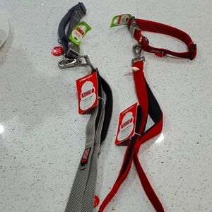 Kong collar and leash set